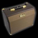 Комбоусилитель для акустической гитары Belcat Acoustic-25RC